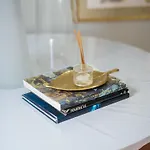 Feel Canteras *